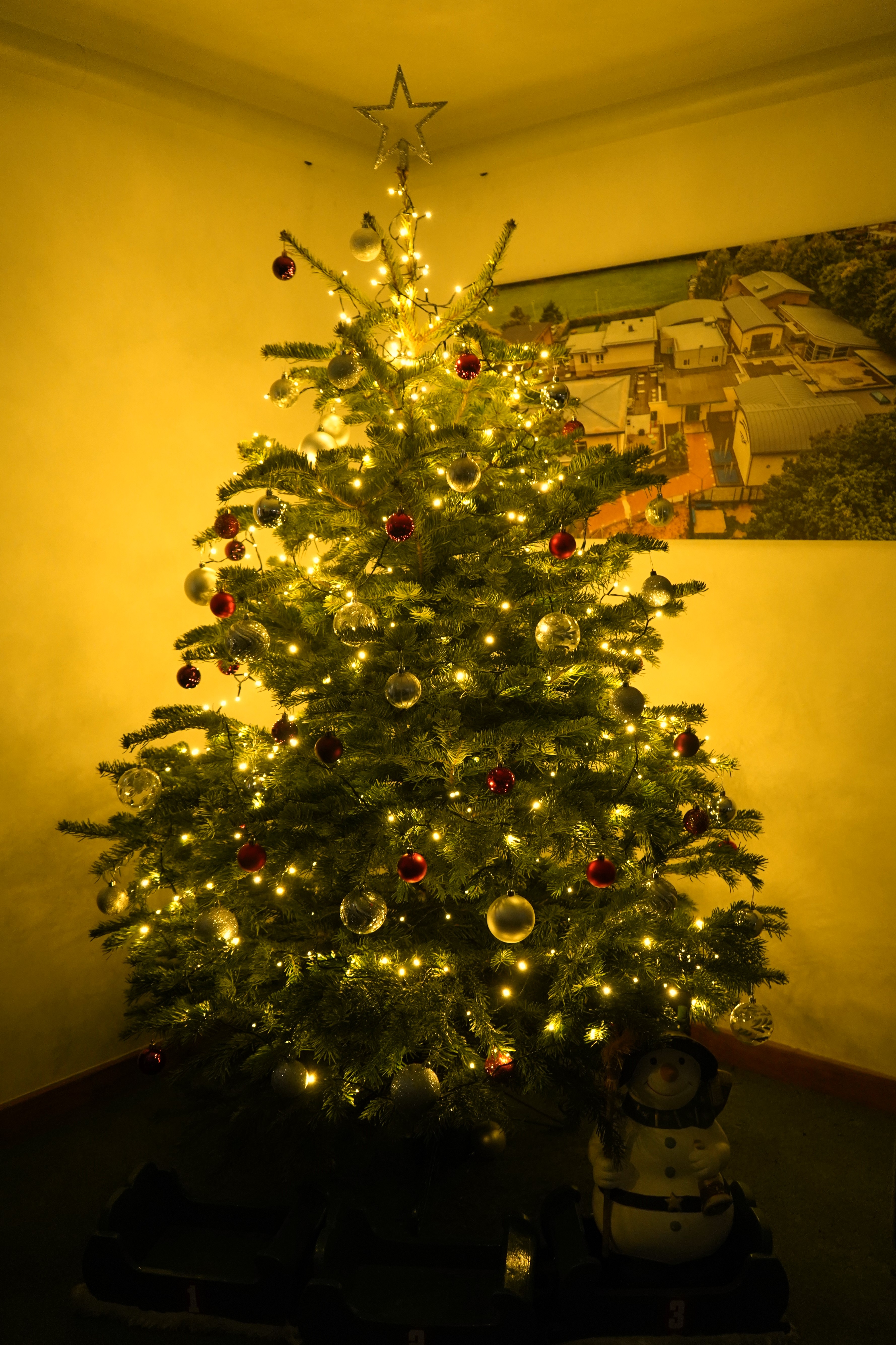 Our Christmas Tree